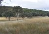 51 Mills Road, Molong