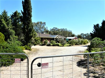 49 Claire Drive, Tocumwal