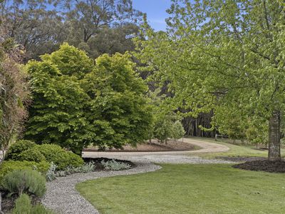 41 Vinnicombes Road, Romsey