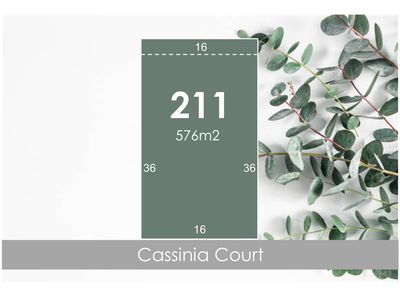 Lot 211, Cassinia Court, Campbells Creek