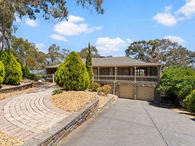 17 Tay Court, Banksia Park