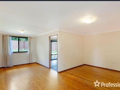 3 Solomon Avenue, Kings Park