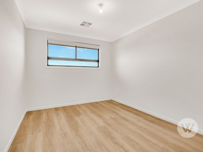 8B Palumbo Avenue, Newton