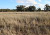 Back Trundle Road, Parkes