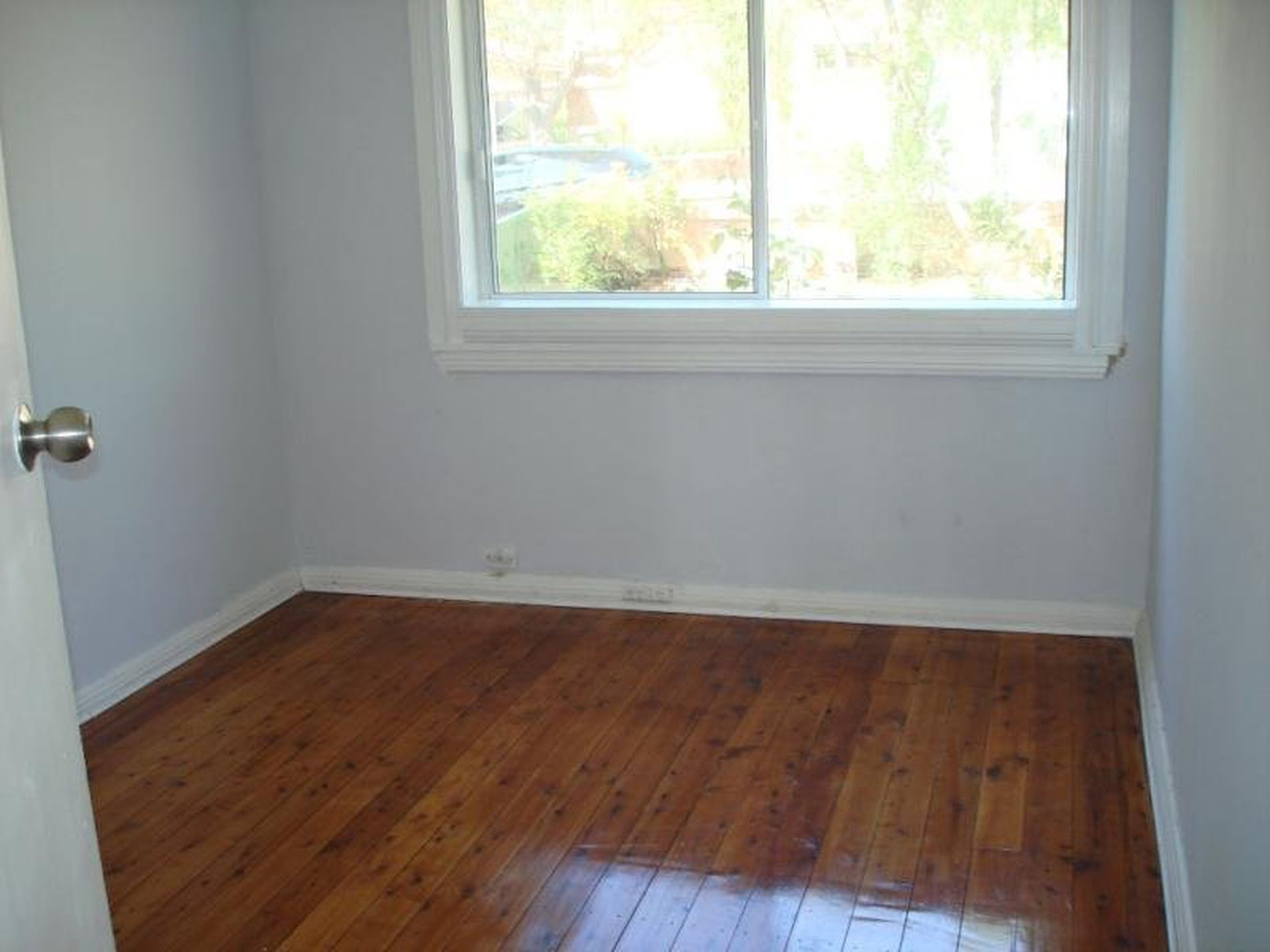 12 Carrisbrook Avenue, Mount Lewis