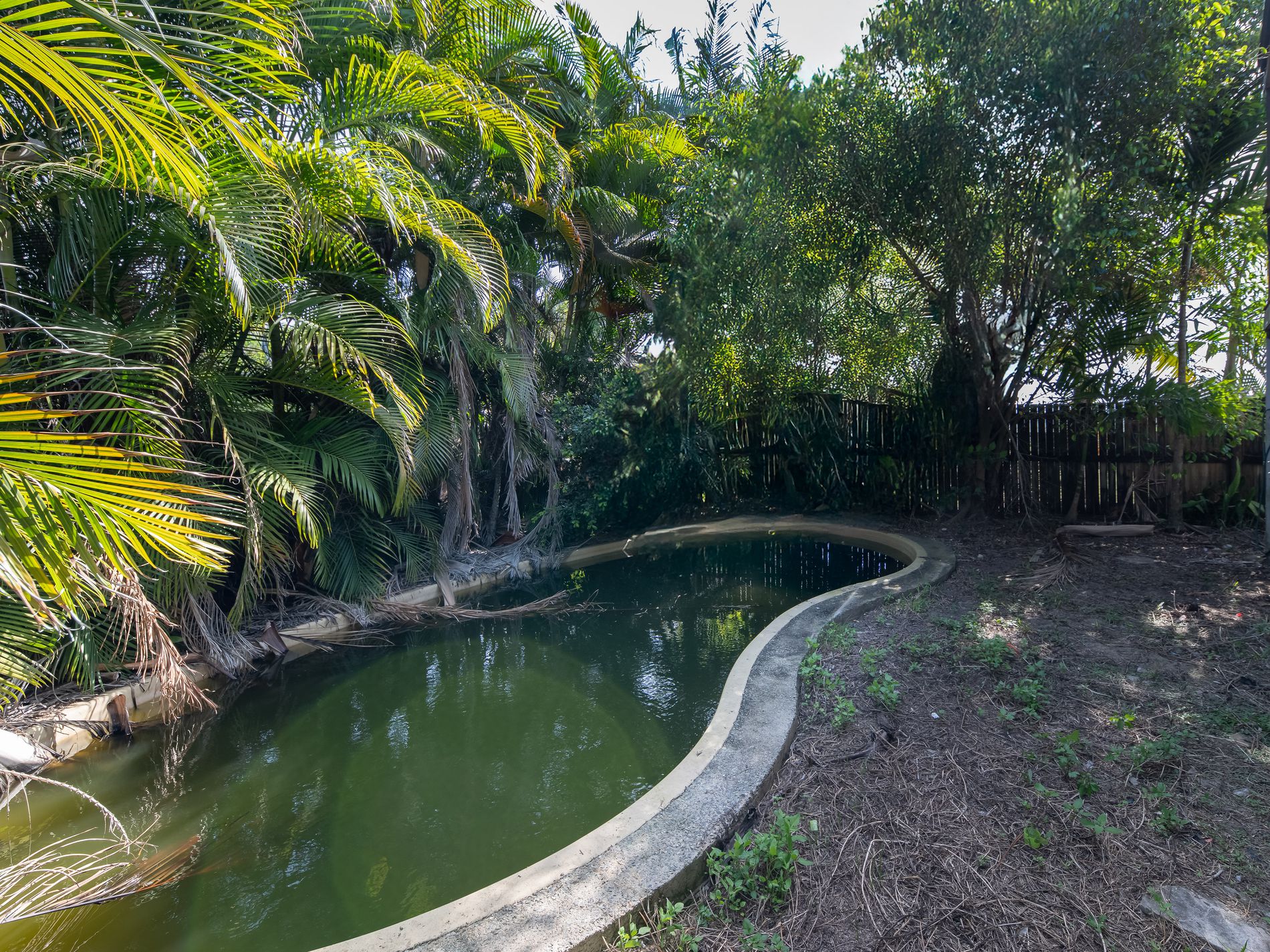 4 Cascara Street, Proserpine