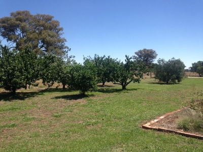3756 Murray Valley Highway, Rutherglen