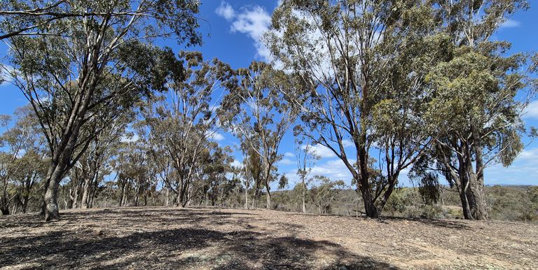 Lot 2 Gellibrand Tonks Road , Earlston