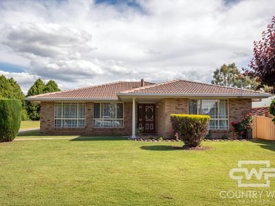 19 Potter Parade, Glen Innes