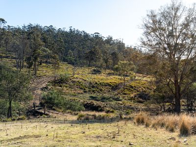 "Goat Gully/Old Hut Hill" Lemont Road, Lemont