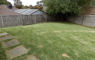 15 Cuneen Crescent, Berwick