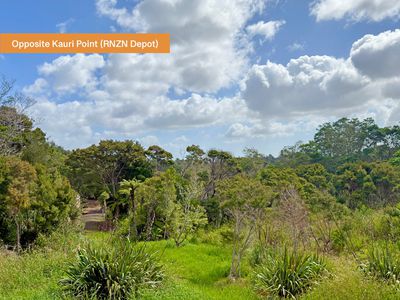16 Onetaunga Road, Chatswood