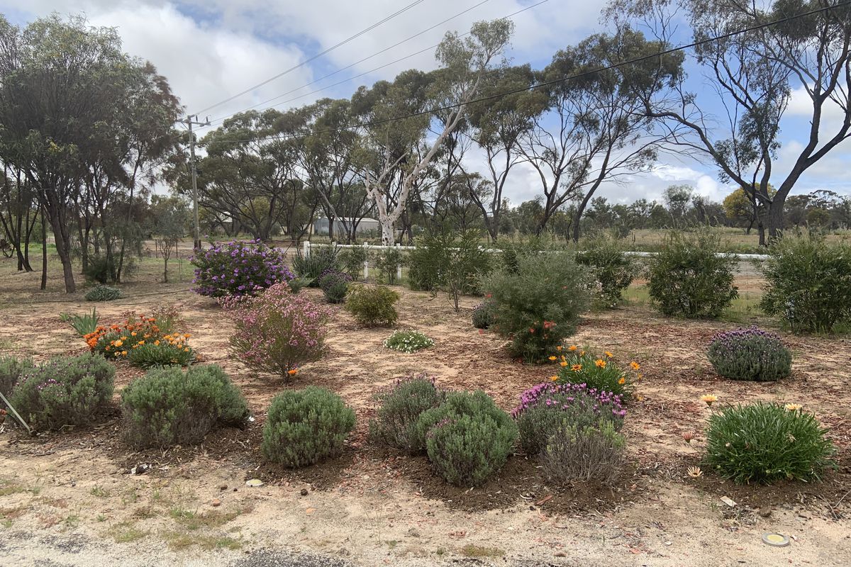 55 Dempster Street, Meckering
