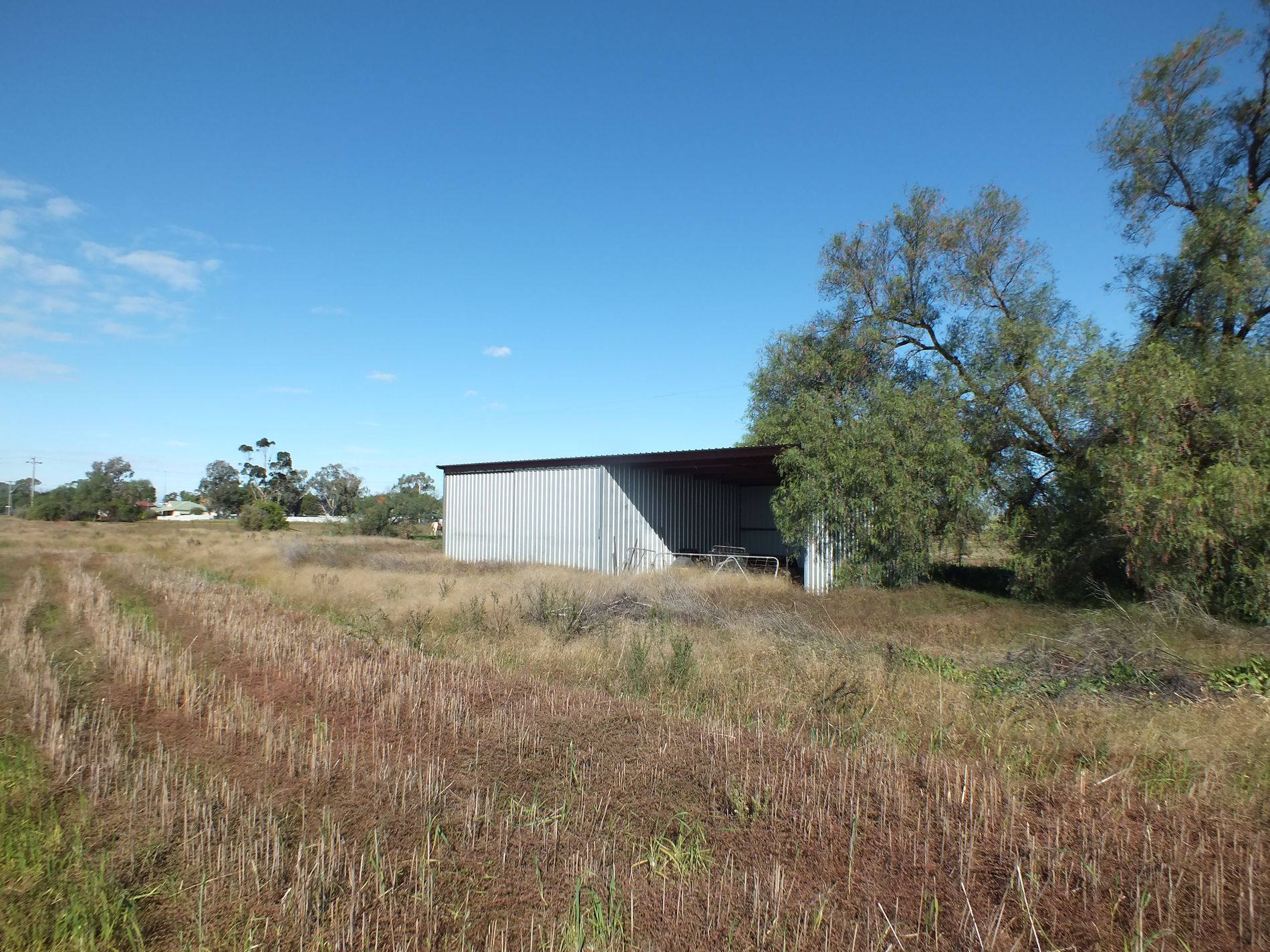 51 Connors Lane West Wyalong, West Wyalong