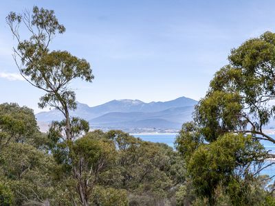 57A Franklin Parade, Lady Barron