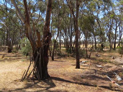 151 Richmond Plains Road, Wedderburn