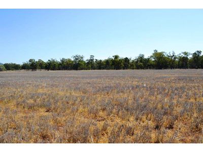 1076 Watermark Road, Curlewis