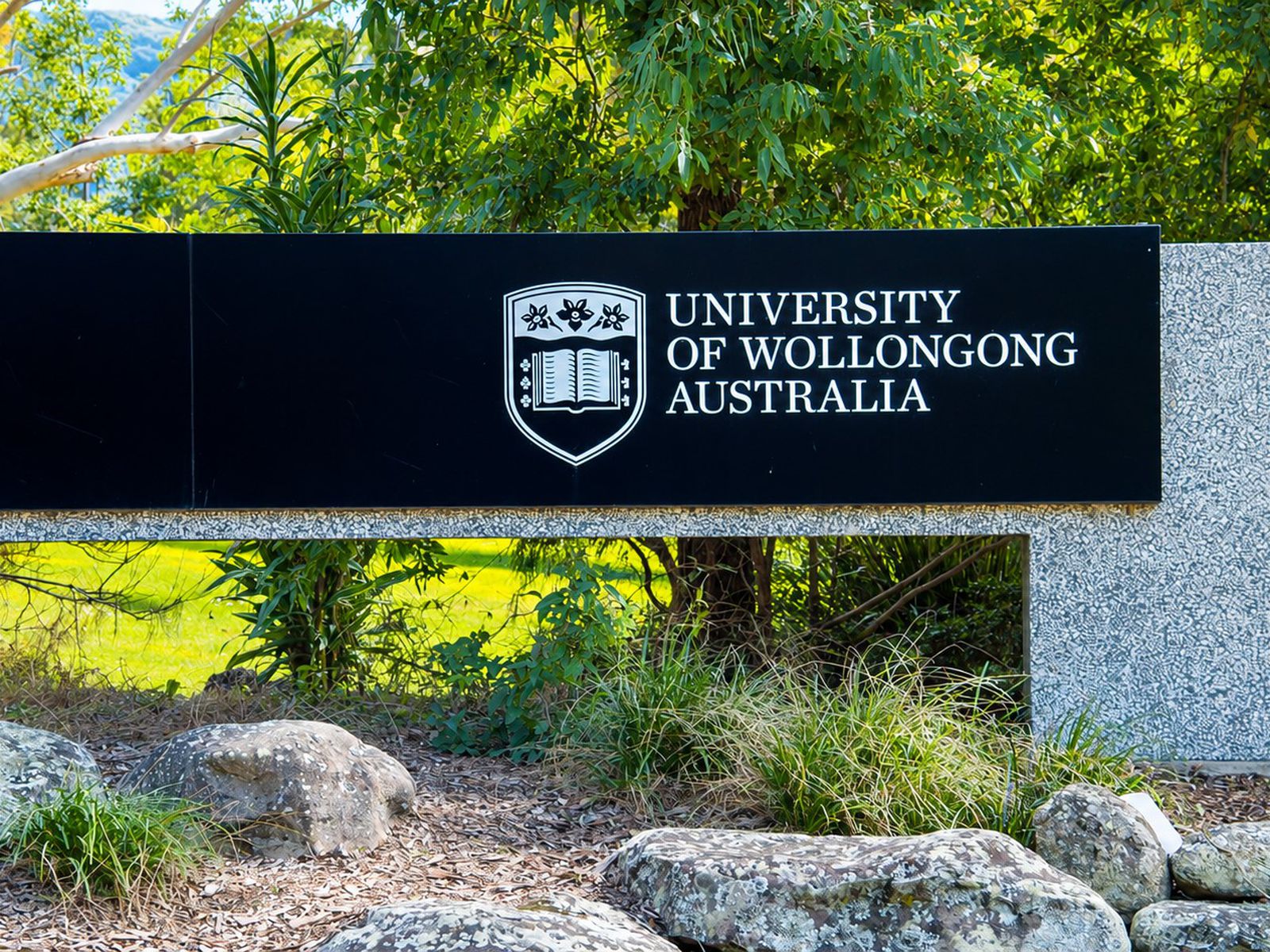 42 Smith Street, Wollongong