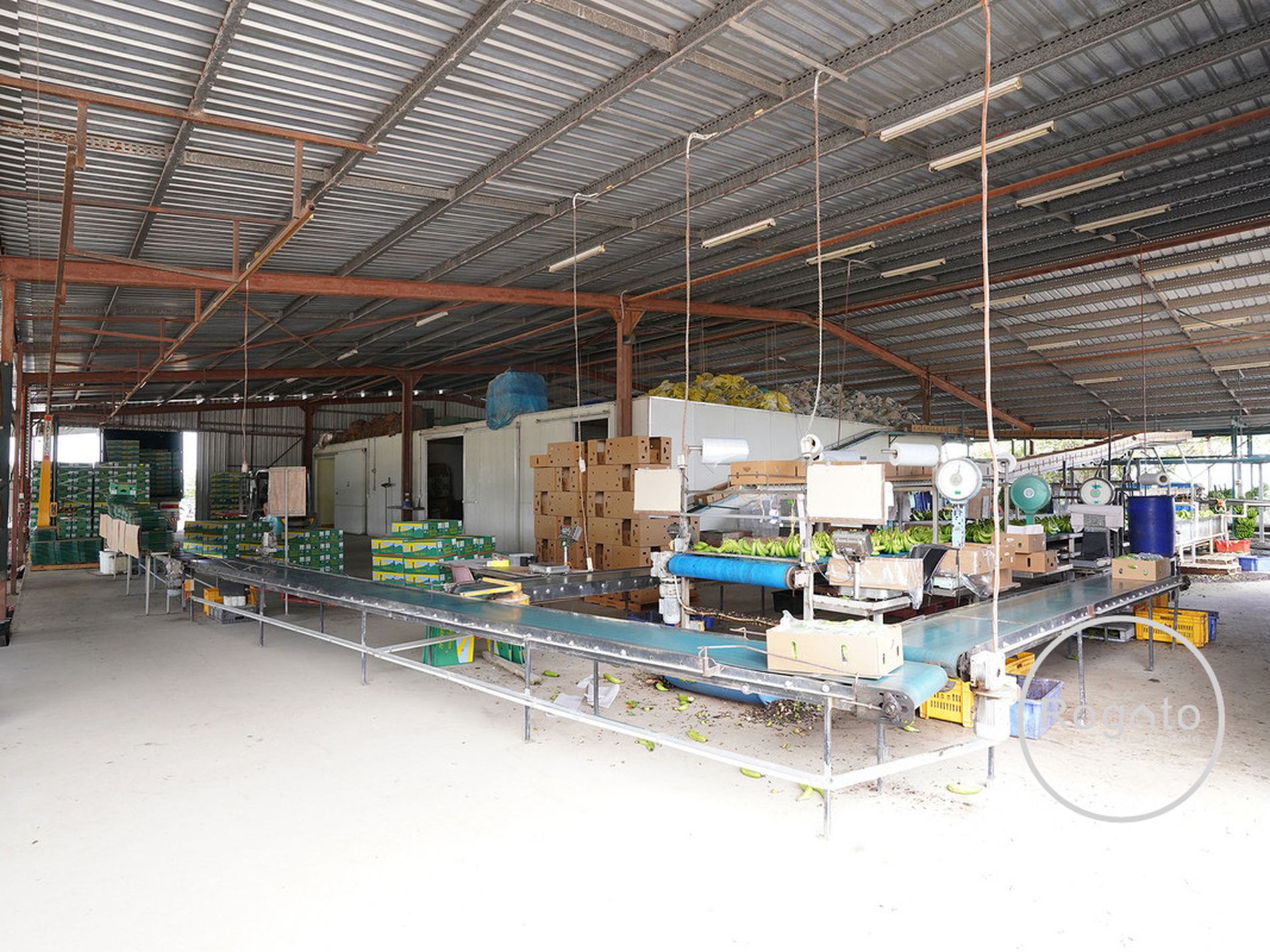 387 Fassio Road, Mareeba