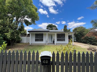 49 Palaroo Street, Swan Hill
