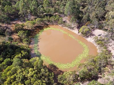 282 Holdings Road, Cloyna