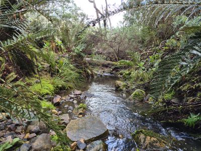 1529 Huon Highway, Lower Longley