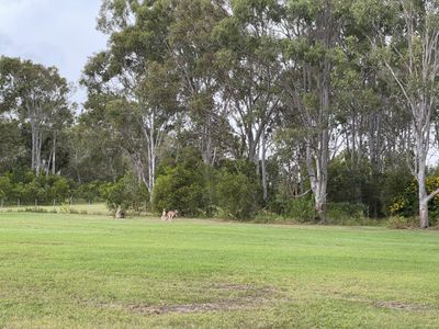 36 Francis Avenue, Booral