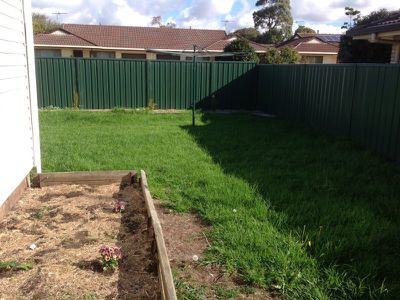 31 Lindsay Street, Mount Gambier