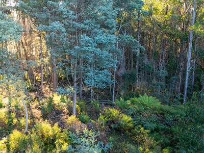 off Paddys Lane , Franklin