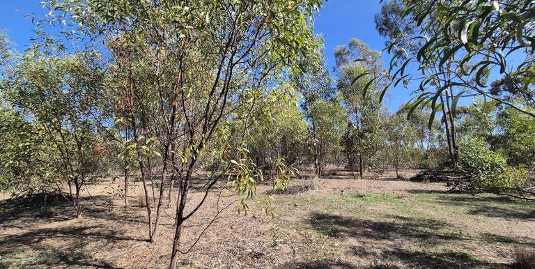 1622 Dookie-Violet Town Road, Koonda