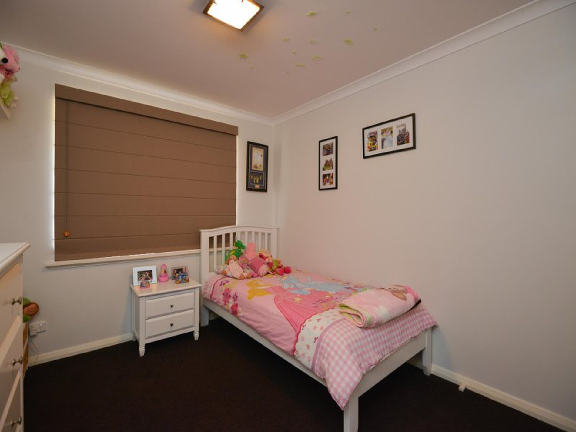 15 Godenzi Street, Broadwood