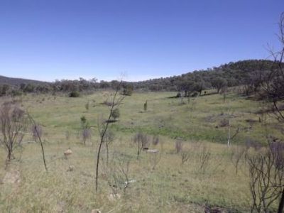Lot 357 Schroeders Road, Emmaville