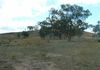 Lot 6 Burrendong Way, Orange