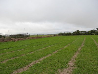 Atherton