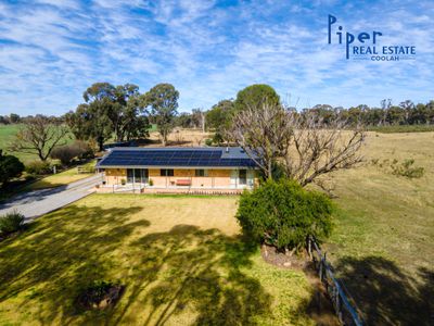 Bradview / 1009 Warrumbungles Way, Coolah