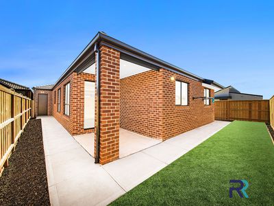 16 Whippet , Tarneit