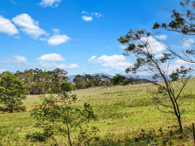 195 Halls Lane, Braidwood