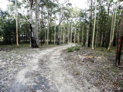 311 Wandean Road, Wandandian