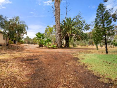 237 Young Road, Baldivis