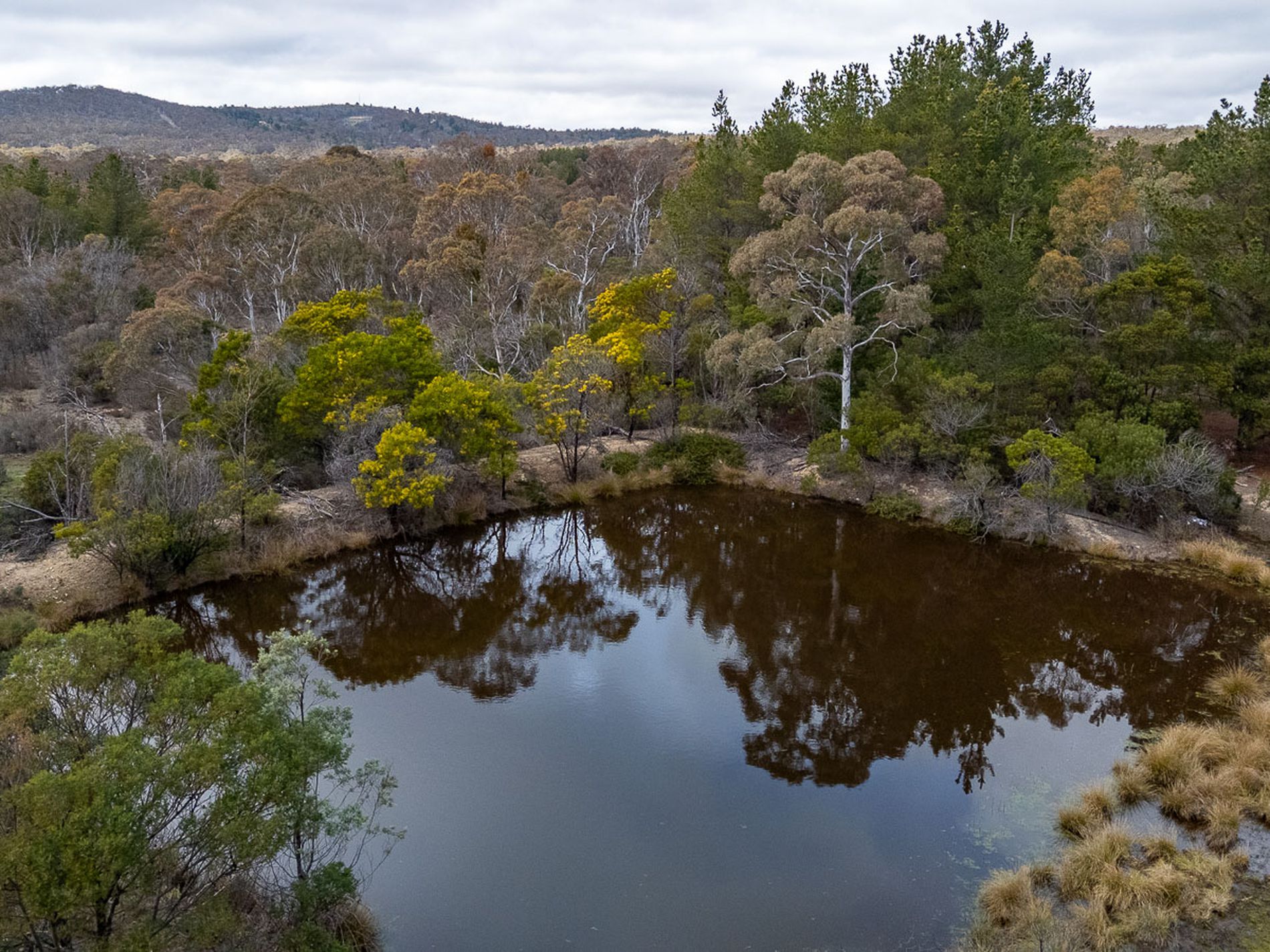 11 Cooper Road, Wamboin