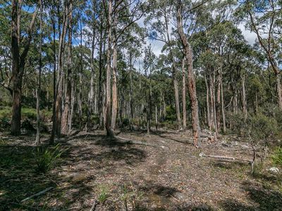 767 Lonnavale Road, Lonnavale