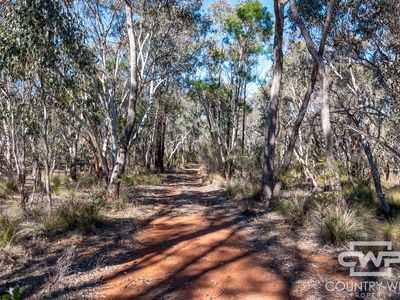 Lot 1, 222 Strathbogie Road, Emmaville
