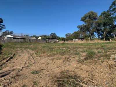 Lot 119 Cabbage Gum Place, Beechwood