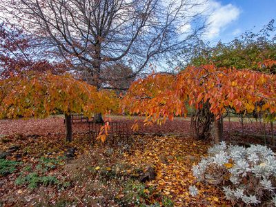 1085 Tabletop Road, Tolmie