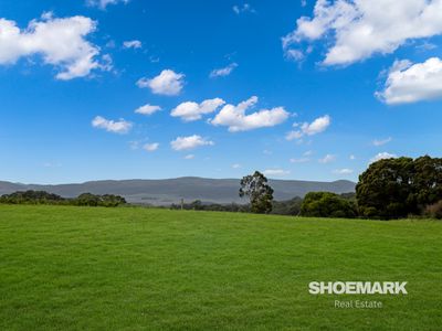 274 Mountain Creek Road, Braidwood
