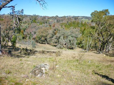 255 Horton Drive, Woodstock