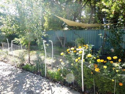 37 Wimble St, Seymour