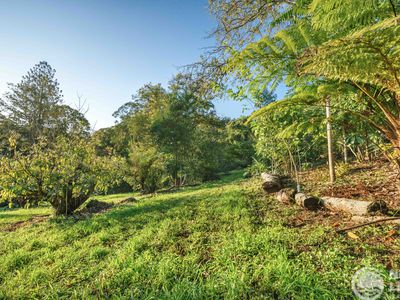 45 Geles Road, Upper Burringbar