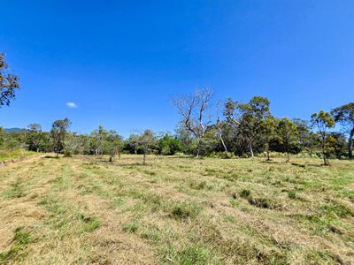 556 Mount Amos Road, Cooktown