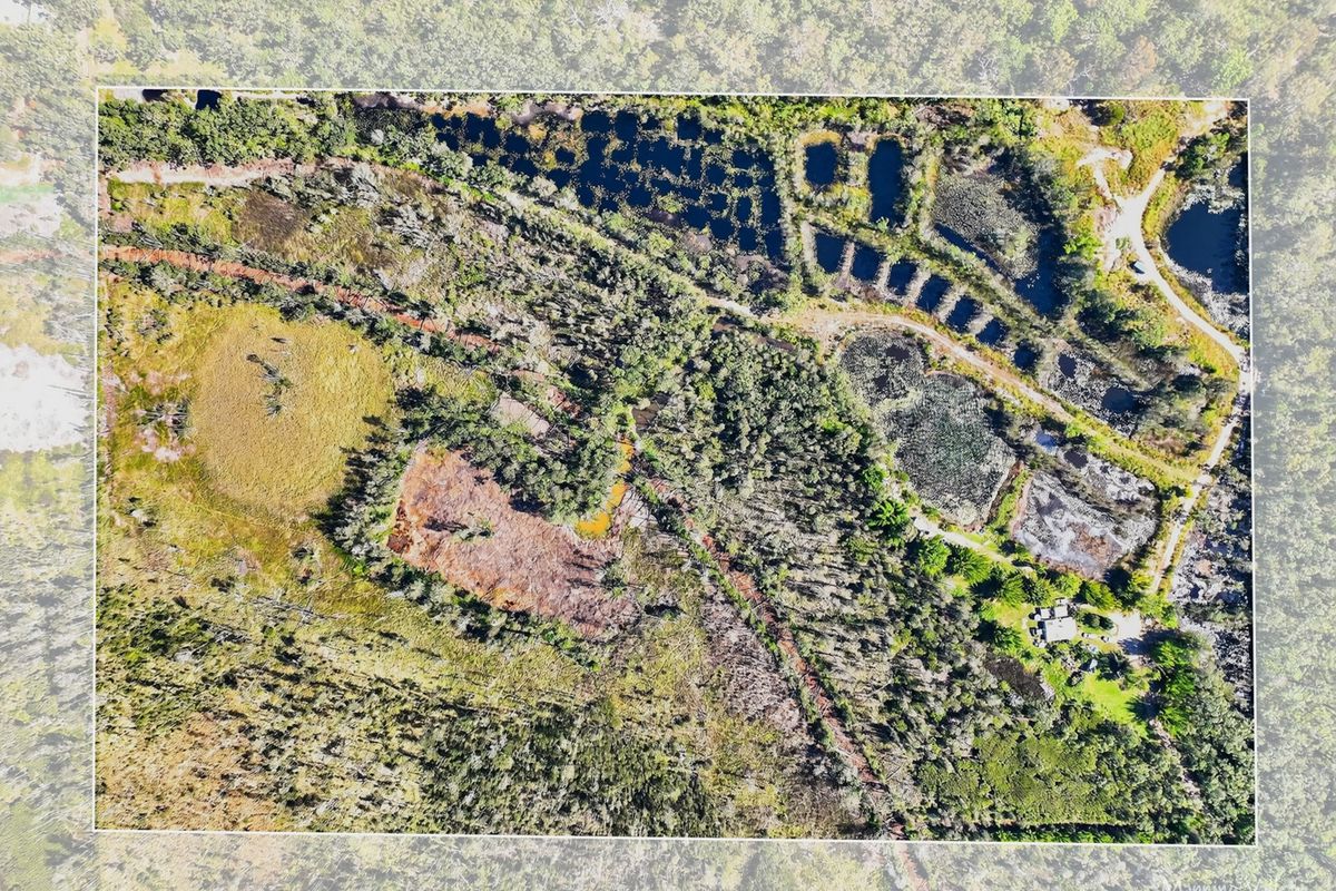 Lot 169 Oakview Drive, Hallidays Point